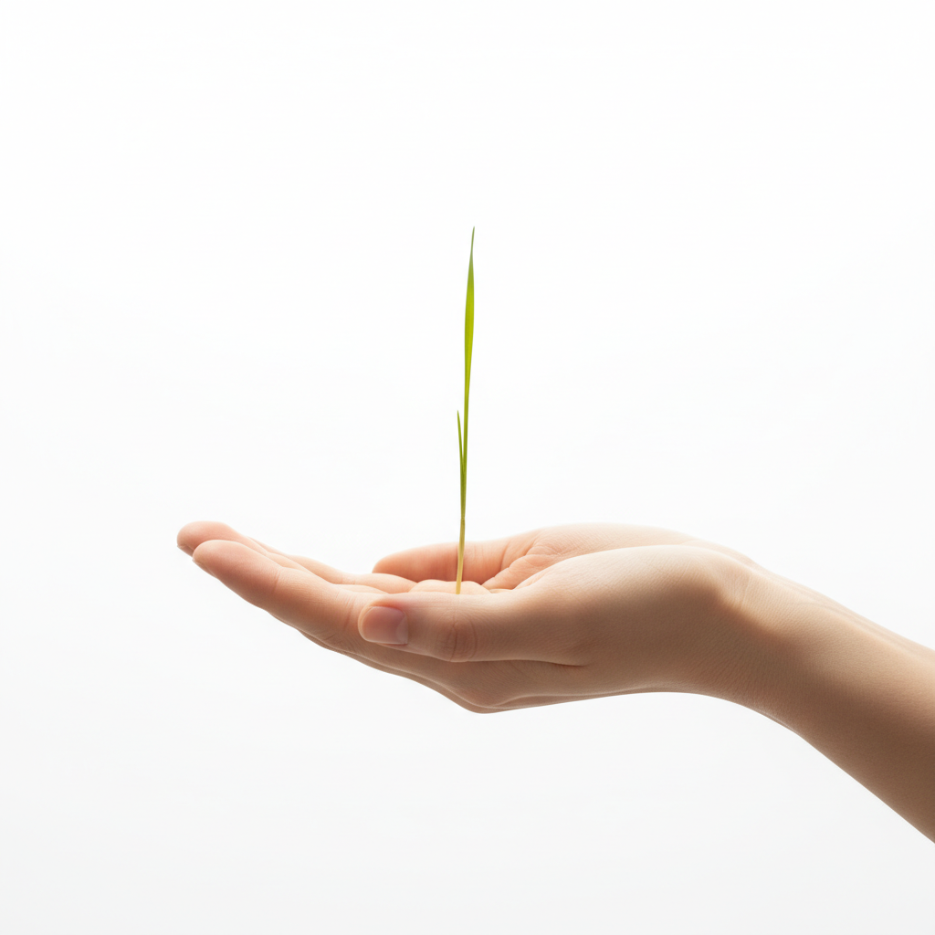 국민행복카드 잔액조회&amp;#44; 놓치면 아까운 숨은 바우처 찾는 법