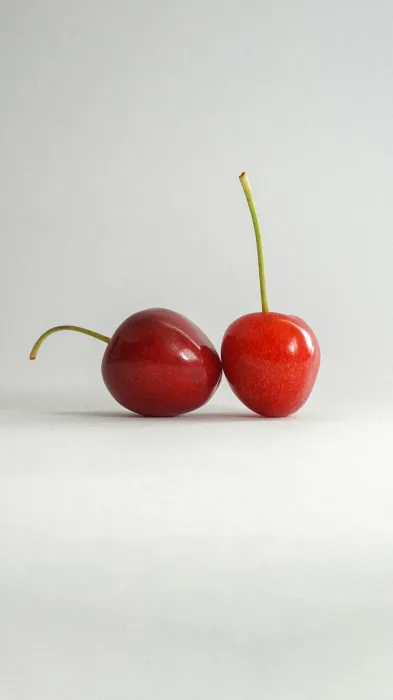 앵두효능-부작용-하루-섭취량-관련-사진