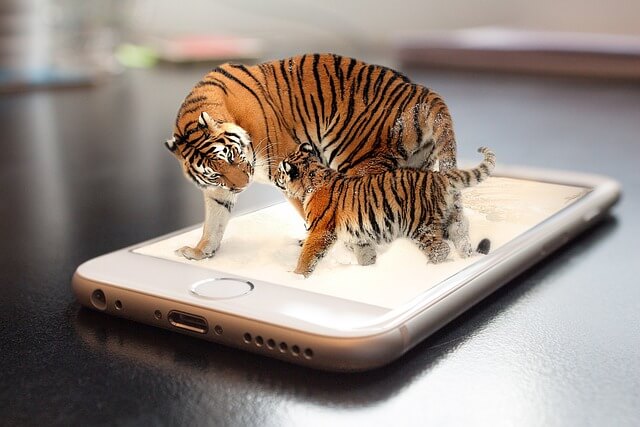 2025년 을사년 1월 운세 (3) 호랑이띠, 범띠 새로운 인생의 책장