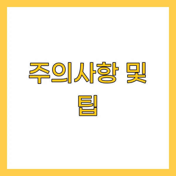 주의사항 및 팁