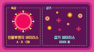 독감-감기
