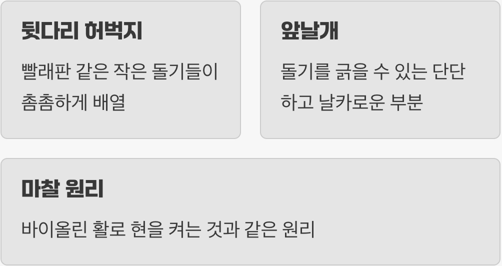 목소리가 아닌, 몸으로 연주하는 악기