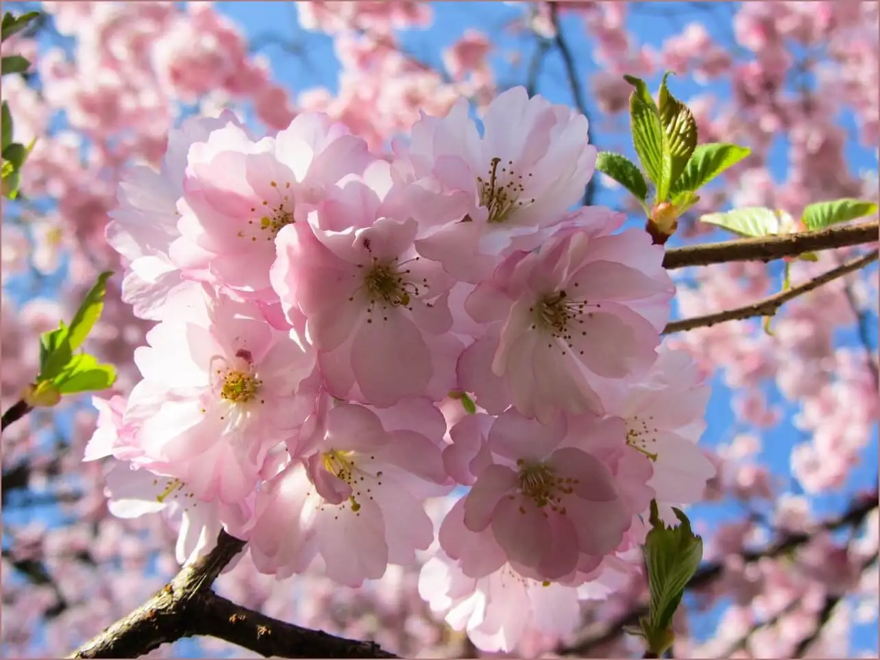 우리은행 예금금리