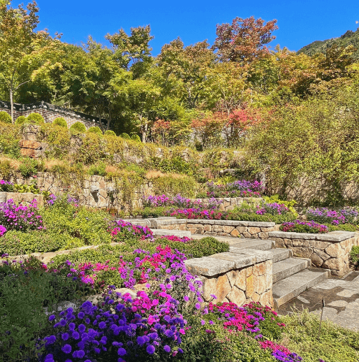 화담숲 전경사진