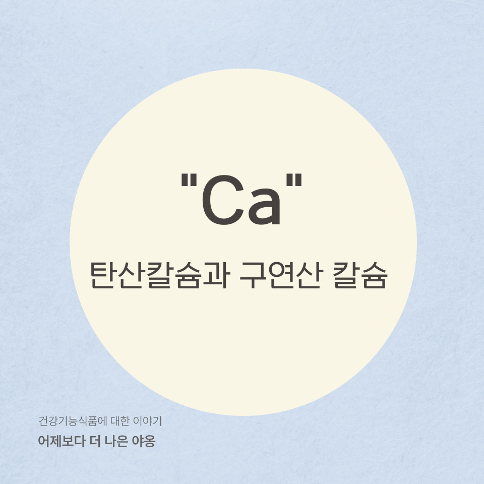 골다공증 예방에 도움을 줄 수 있는 칼슘제
