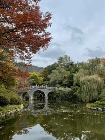 경주 가볼만한곳 베스트10 황리단길 대릉원 야경 산책로 추천_12