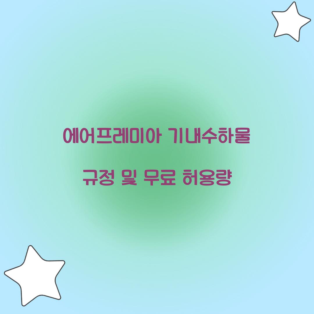 에어프레미아 기내수하물