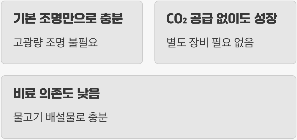 까다롭지 않은 착한 성장 조건