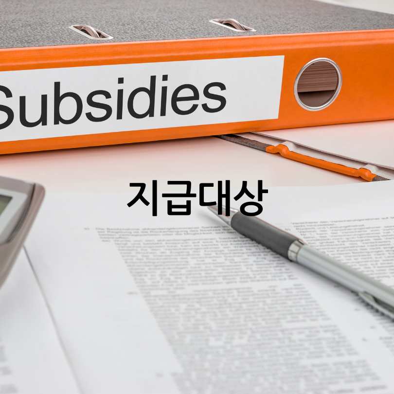 민생회복 소비쿠폰 2025 지급 계획! 미성년자 포함