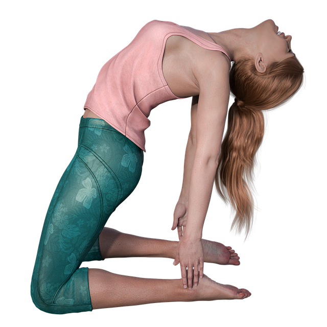 어깨결림 스트레칭 루틴, 단 5분으로 쌓인 피로를 완벽히 푸는 방법