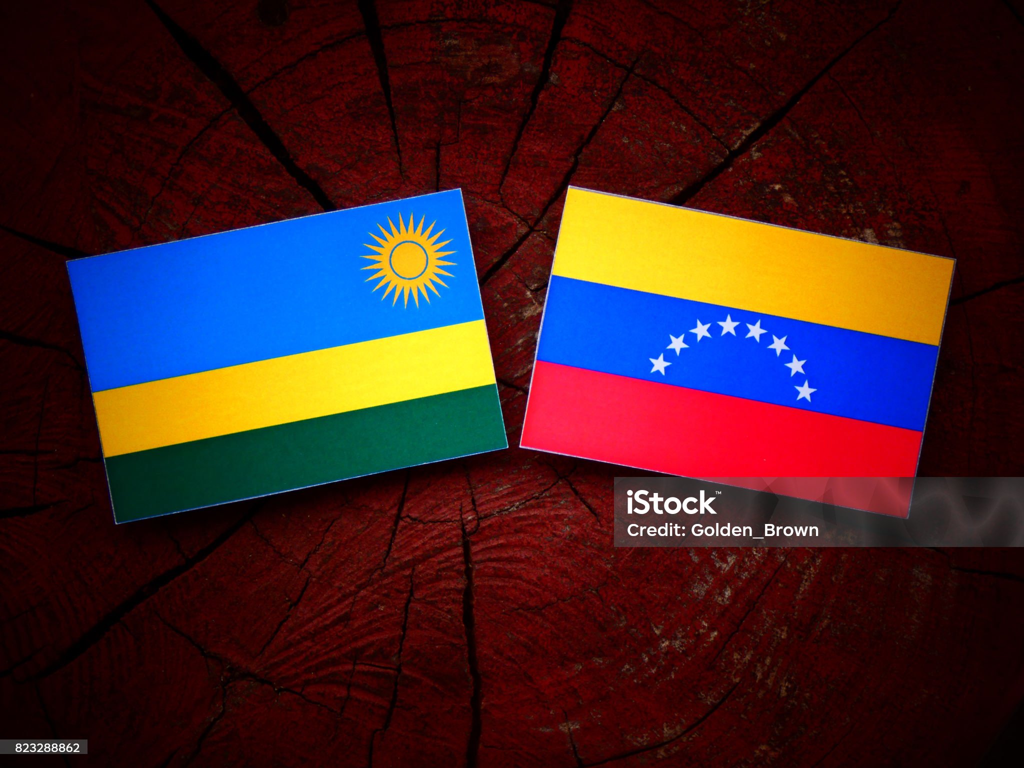 인체 질환-홍역