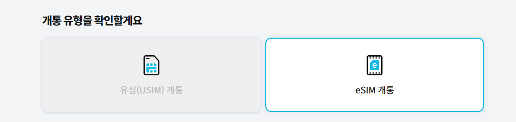 새로운 번호 사용, esim 개통 선택