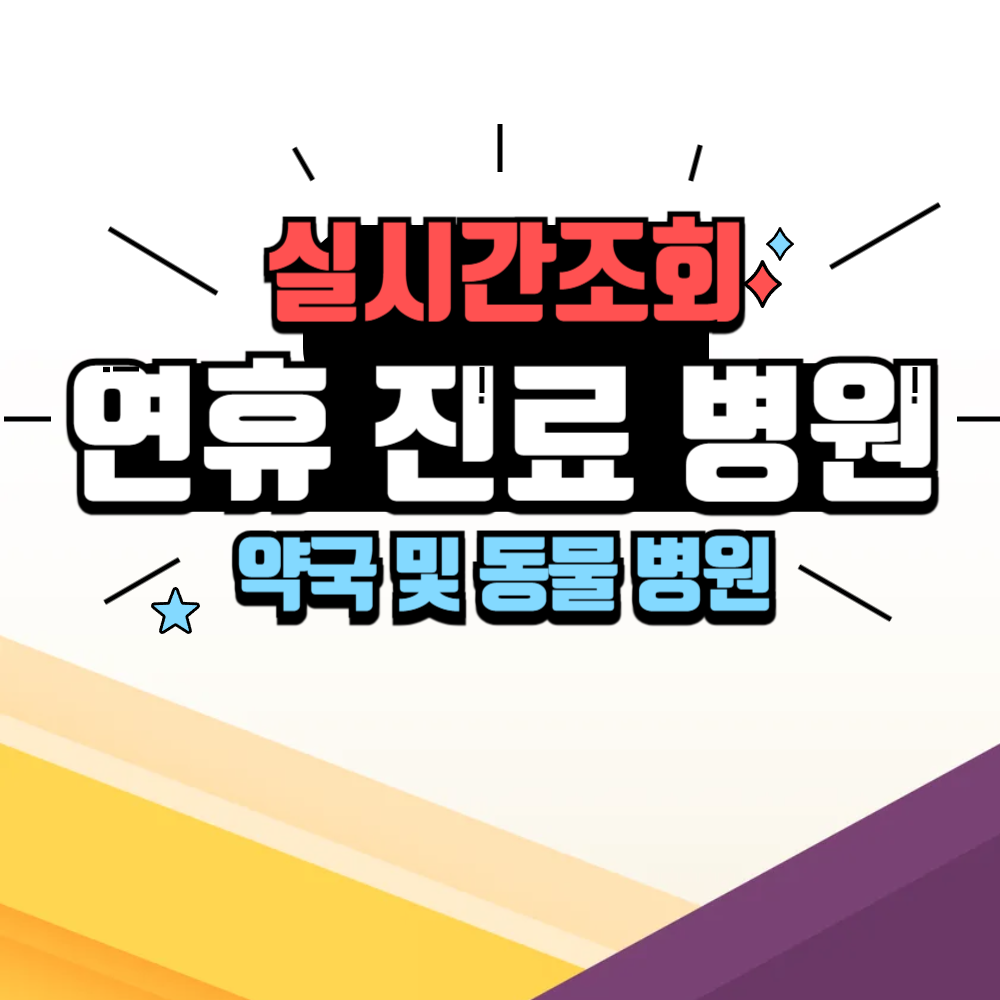 설 연휴 진료 가능 병원 약국 찾기 (실시간 조회)