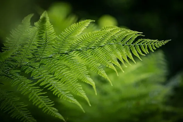 고사성어 모음 성공 사자성어 명언 모음_4