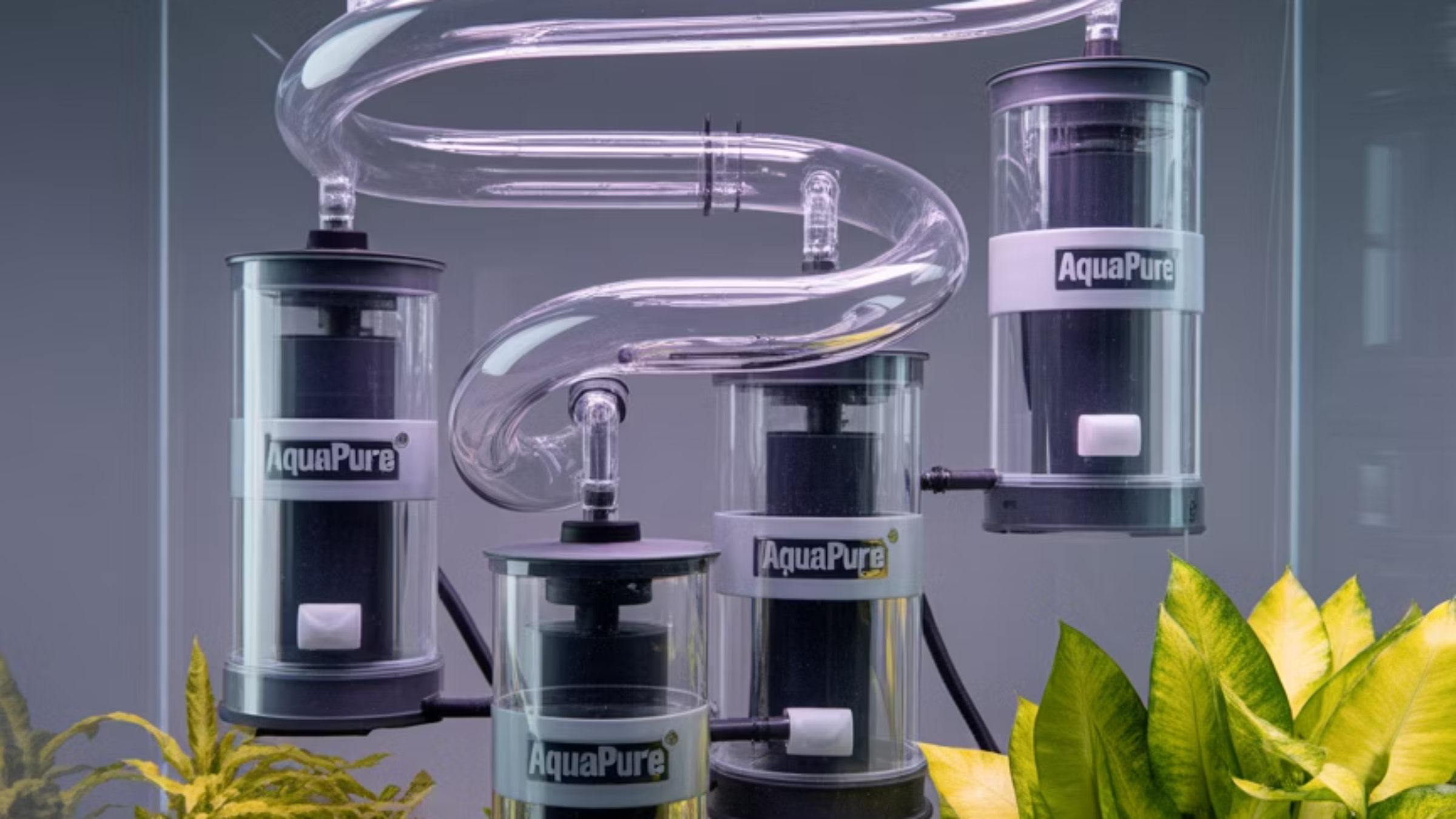 물과 여과 시스템