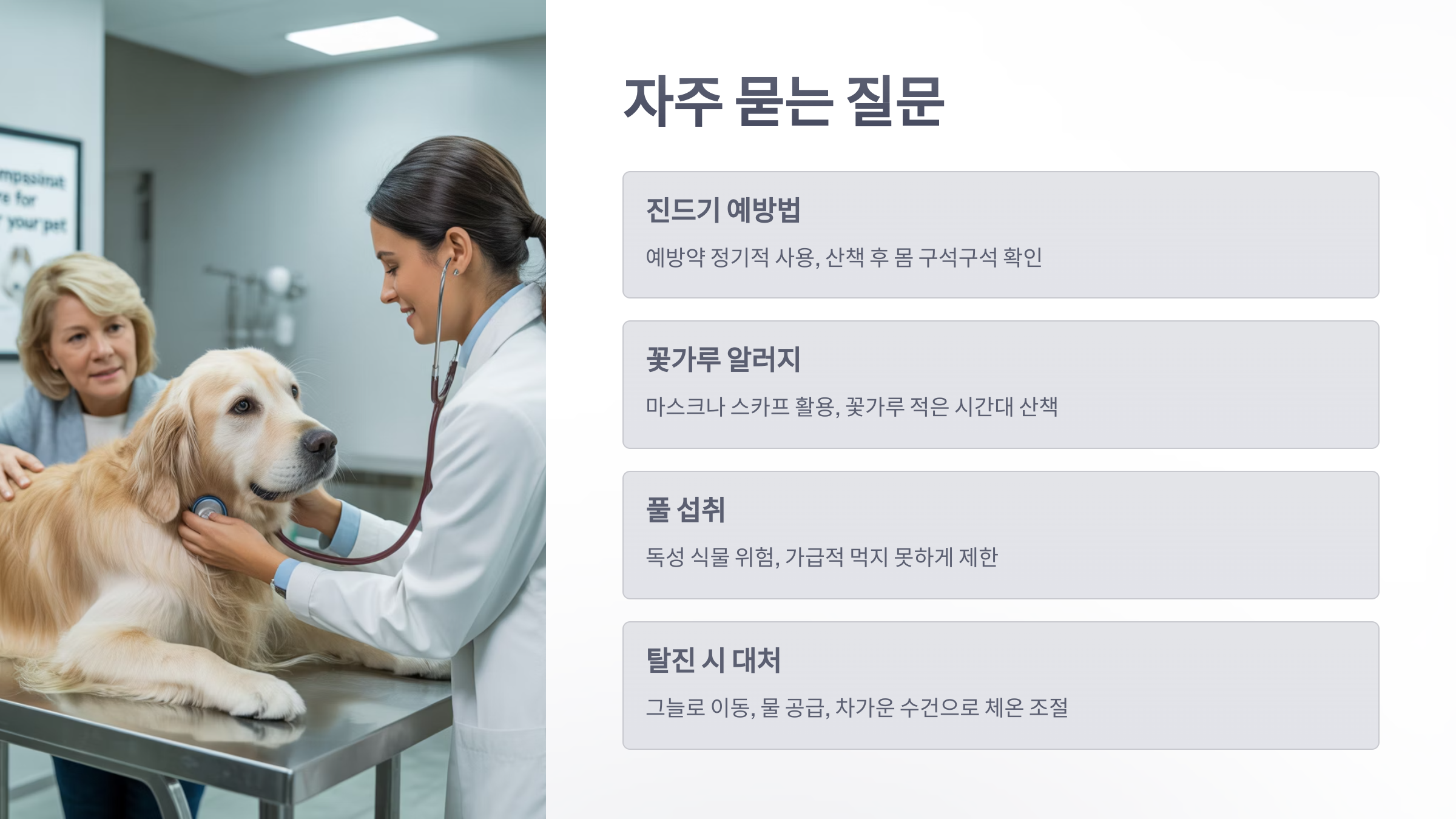 참조-반려견과-봄-산책시-주의사항-6