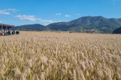 11월 단풍축제 가볼만한곳 BEST 10