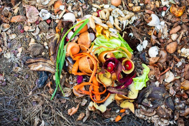 손쉬운 밀프렙으로 음식물 낭비 줄이는 방법