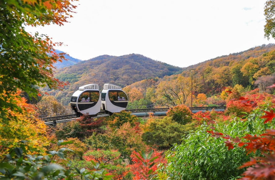 광주 화담숲
