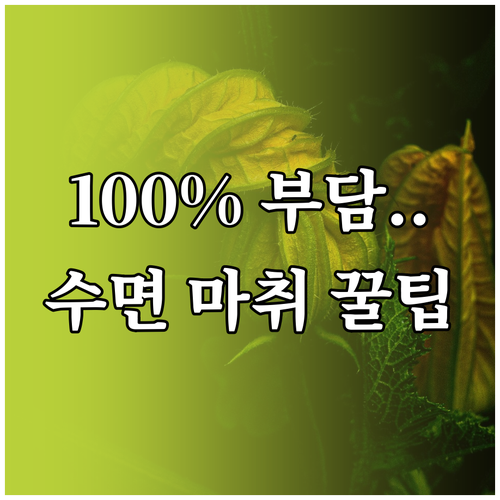 위내시경 수면 마취 비급여 항목 10..