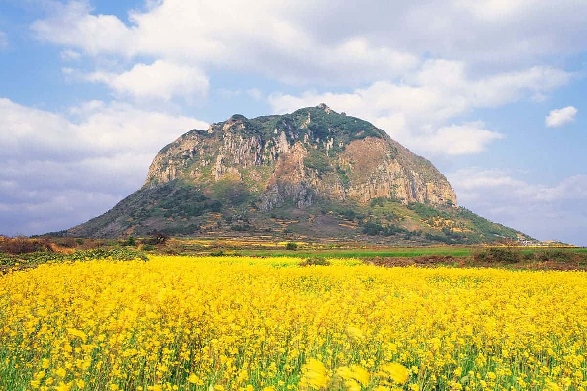 제주 5월 날씨 온도 옷차림 준비물 실내 대비 장소 리스트