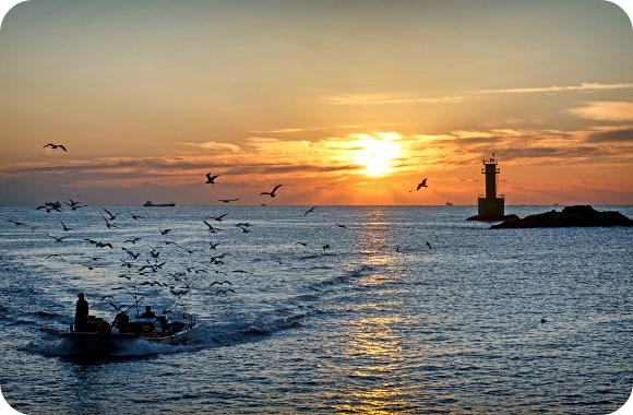 부산 송정 새해 일출 해돋이 이미지/출처: 부산비짓