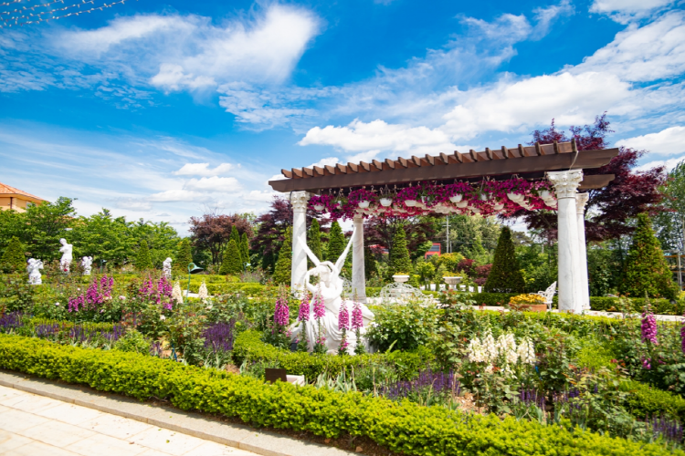 퍼스트가든 별빛축제