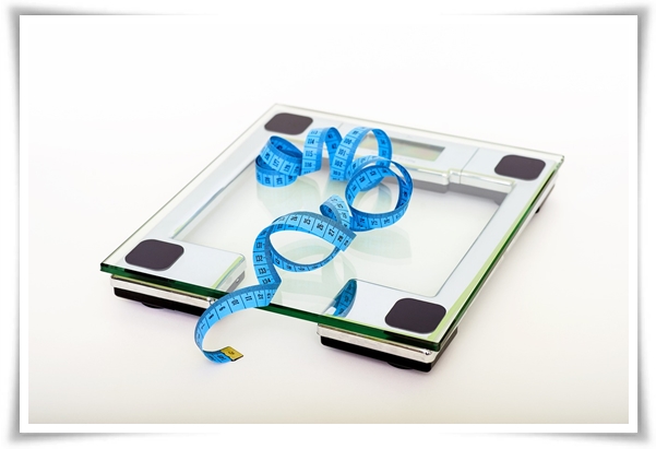 “스위치 온 다이어트” 다이어트의 새로운 패러다임, 정신 신체 영혼을 변화시키는 혁신적인 다이어트!