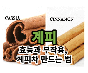계피