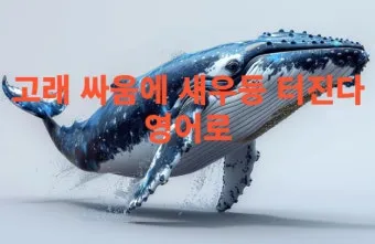 고래 싸움에 새우등 터진다 뜻과 속담 영어 표현 안내집_27