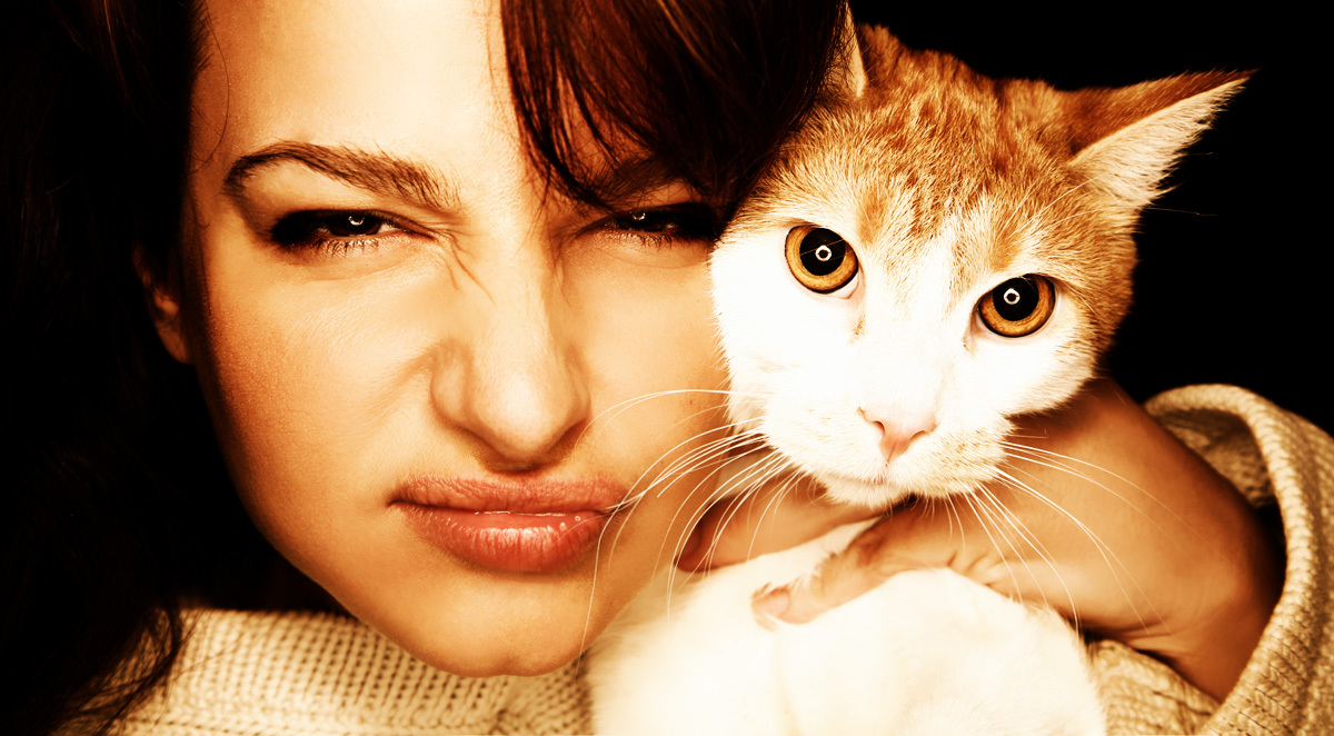 반려동물과 주인 성격 관련 사진