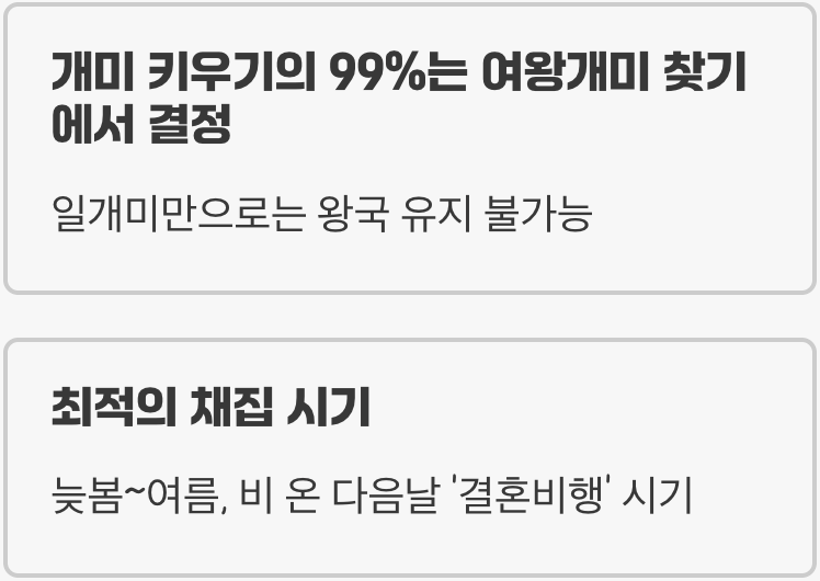 모든 것의 시작, 여왕개미를 찾아서