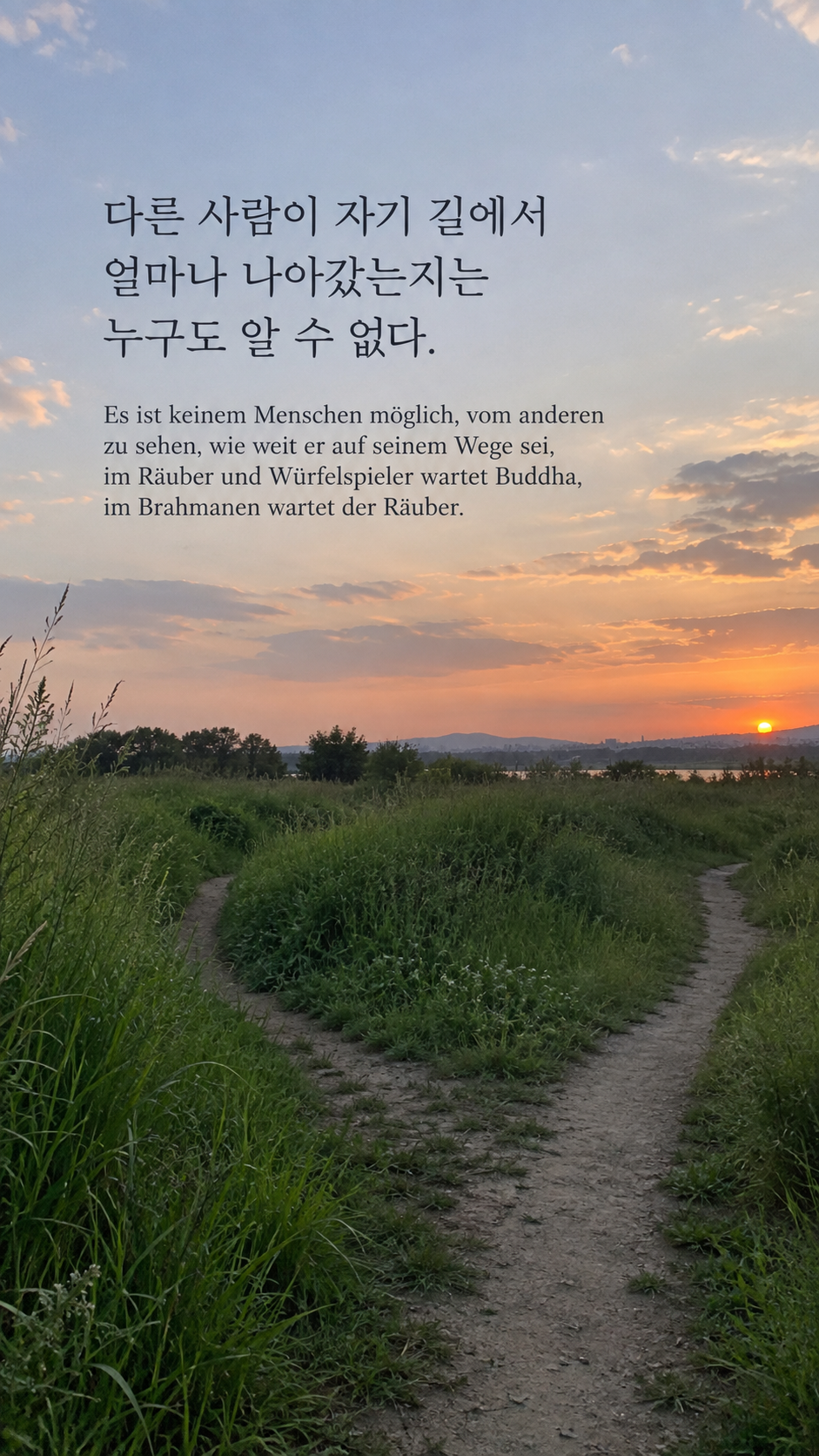 독일어 명언 18 헤르만 헤세 다른 사람이 자기 길에서 얼마나 나아갔는지는 누구도 알 수 없다. — 풀밭에서 서로 다른 방향으로 이어지는 두 오솔길