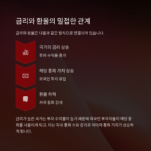 금리와 환율, 함께 움직이는 이유는?