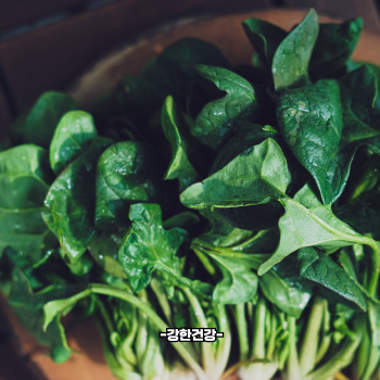 혈압 낮추는 음식