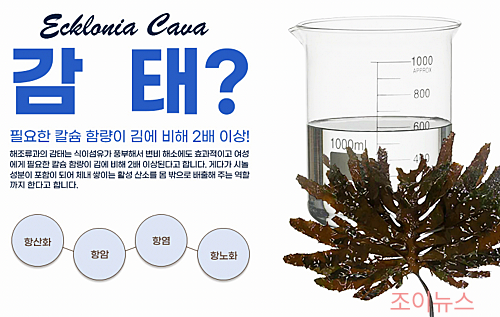 감태추출물