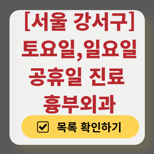 서울 강서구 주말 토요일 일요일 흉부외과 진료 병원 목록 ❘ 공휴일 진료 영업 병원 리스트 찾기