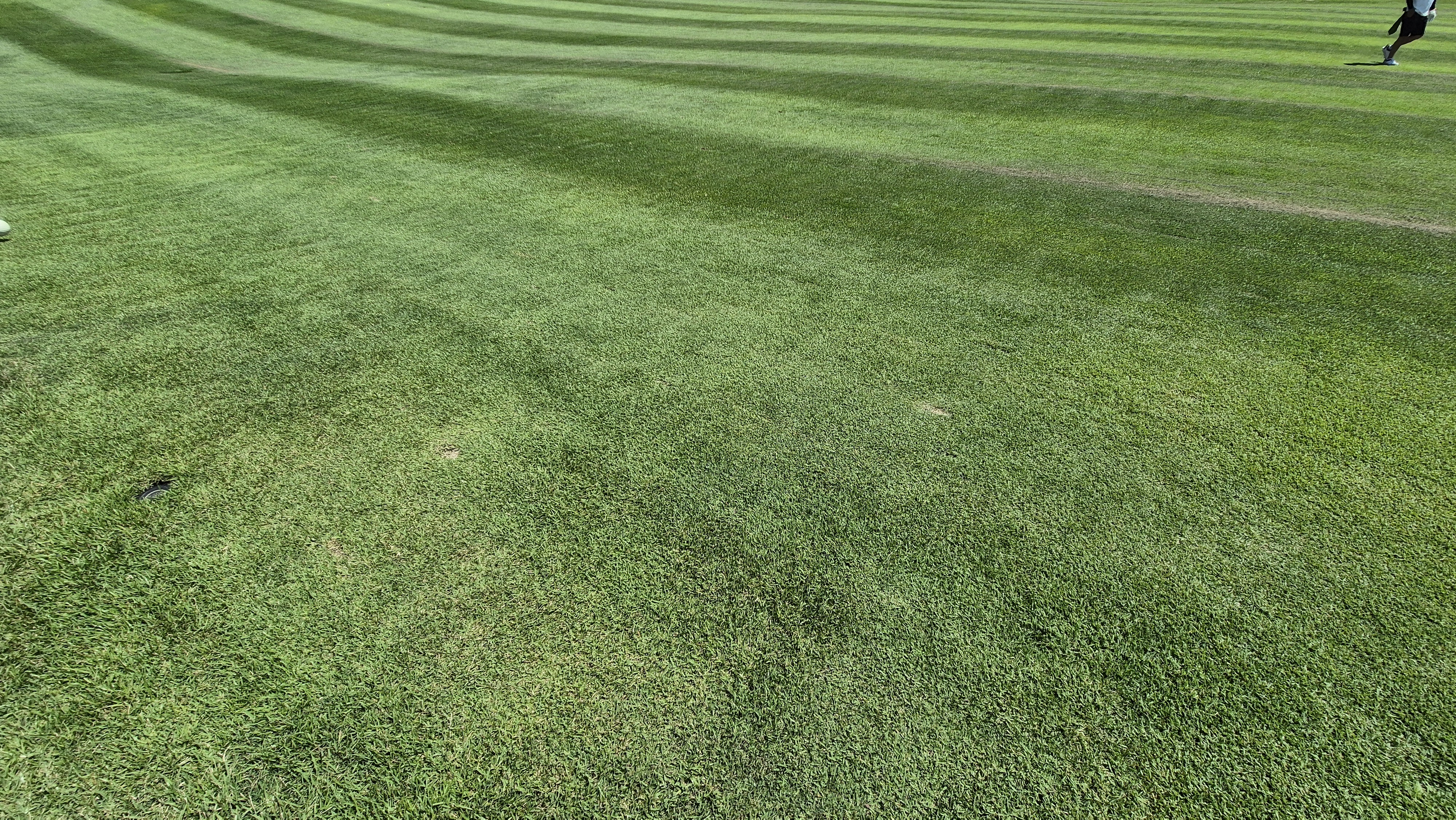 힐데스하임cc 밸리-레이크 코스 라운드 후기