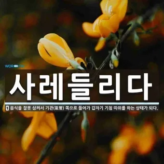 사레들리다 사레걸리다 사래들리다 맞춤법_9