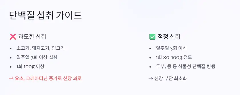 단백질 섭취 가이드