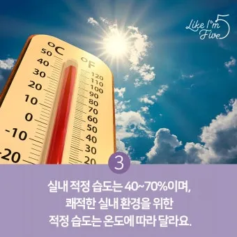 여름철 실내 습기 제거 방법 소금 숯 활용 천연 제습제 만들기 완벽 방법_13