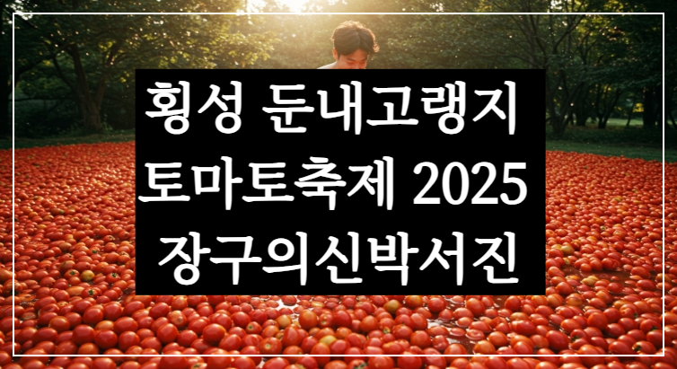 횡성 둔내고랭지 토마토축제 2025 장구의신박서진