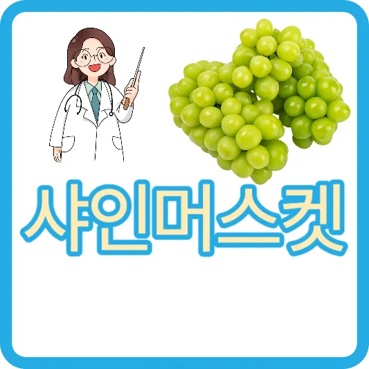 샤인머스켓 청포도 망고포도 샤인머스켓 2kg 가격 샤인머스켓 효능 보관방법 칼로리