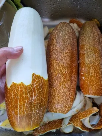 노각무침 레시피 맛있게 만드는 방법_8