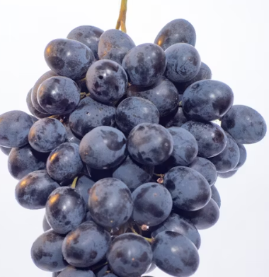 포도 효능 부작용