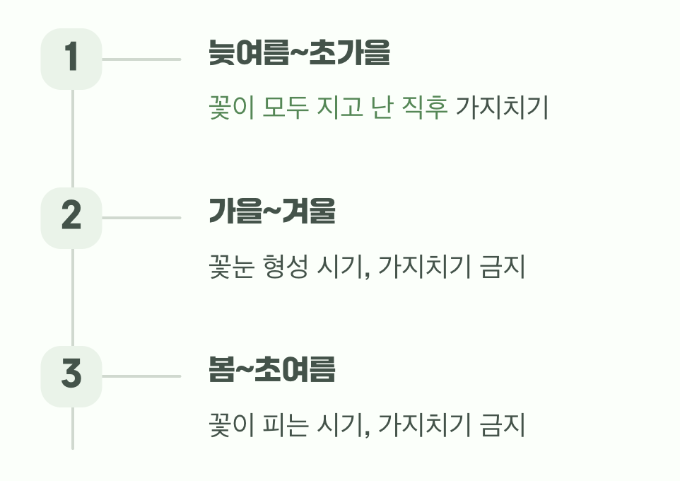내년의 화려함을 결정짓는 가지치기 황금 시간