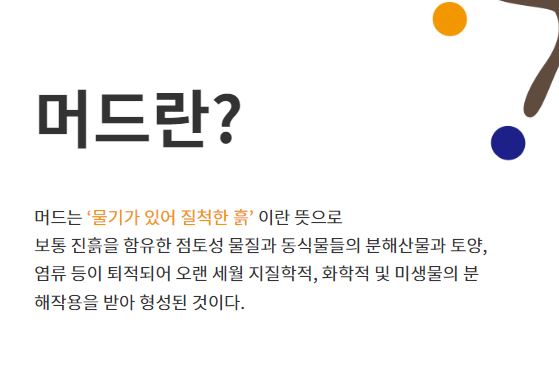 제27회 보령머드 축제란?