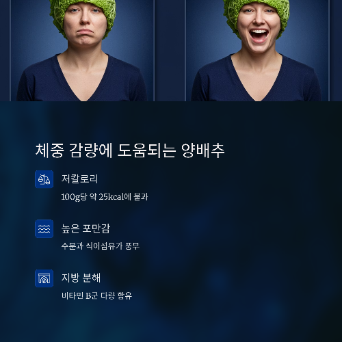 양배추의 효능과 섭취법, 위 건강을 위한 슈퍼푸드