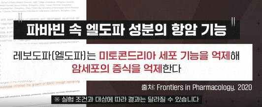 파바빈 효능