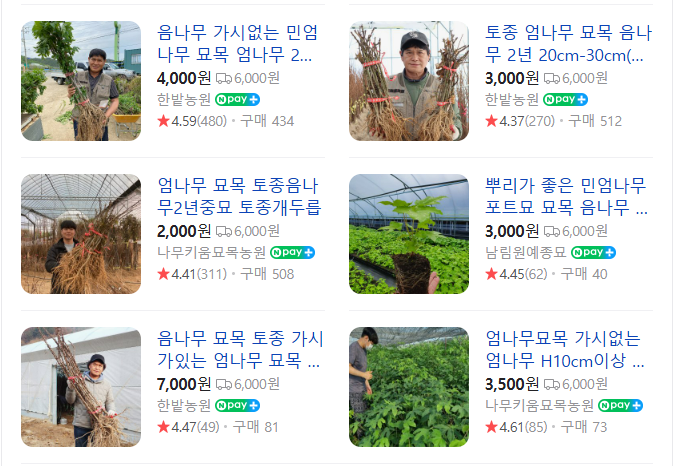 스마트 스토어 엄나무 판매 사이트 이미지